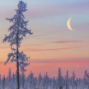 一级黄色操女人
